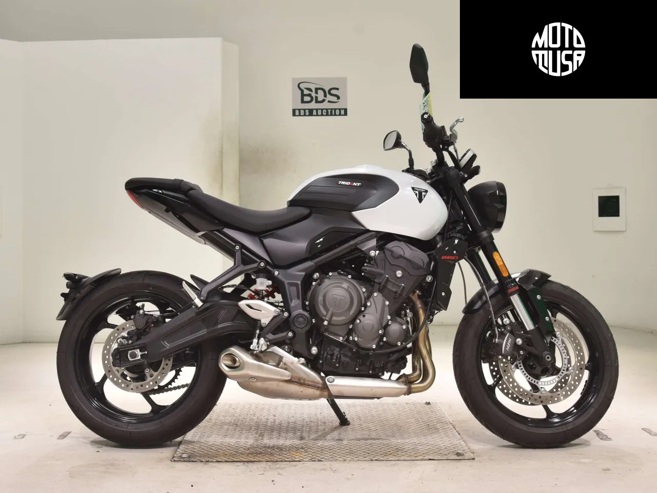 Triumph TRIDENT660 - фото 1