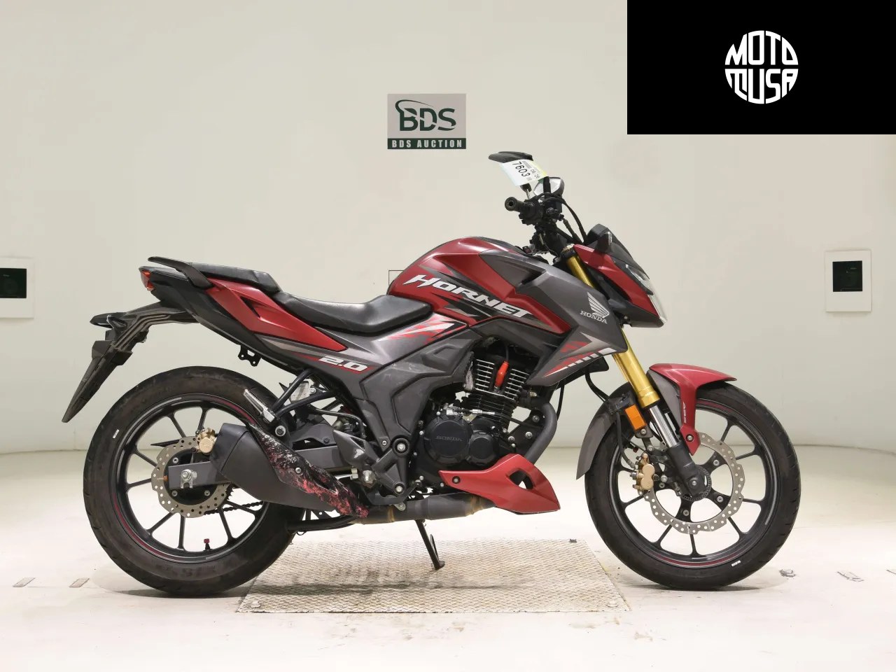 Honda HORNET 2.0 - фото 1