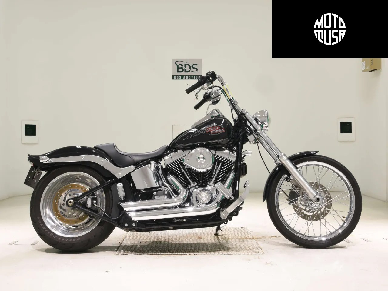 Harley Davidson Softail Custom FXSTC 1580 (FXSTC1580) - фото 1